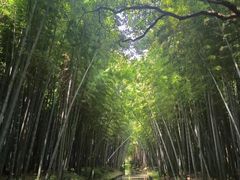 -同里国家湿地公园