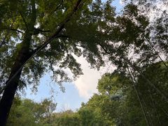 -国生茶庄·地道农家菜团建活动