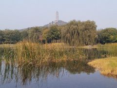 -北坞公园