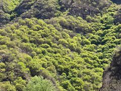 -野三坡百里峡景区