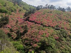 -木兰云雾山