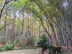 -同里国家湿地公园