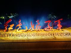 -三亚红色娘子军演艺公园景区
