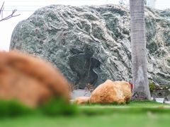 -惠和石文化园