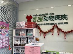 -悦宠凯宝动物医院·牙科·皮肤科(朝阳北路店)