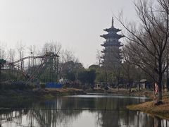-洋湖国家湿地公园