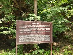 -湖洞水自然风景区