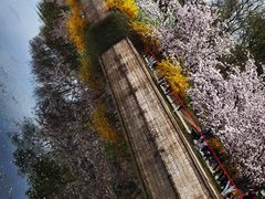 -元大都城垣遗址公园