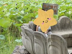 -堤角公园