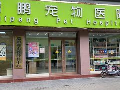 -瑞鹏宠物医院·夜间急症·心超·猫科(祖庙分店)