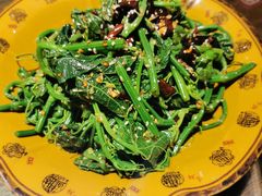 炝拌丝瓜尖-灶东家民间菜(回兴店)