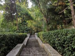 -北极阁公园