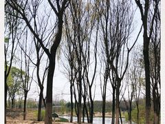 -大兴滨河森林公园