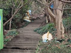 -紫金山山顶公园