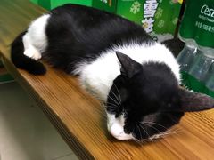 -绿杨馄饨店(康佳花园店)