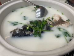 -紫藤园·天目湖大鱼头(南山竹海店)