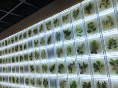 -广东中医药博物馆