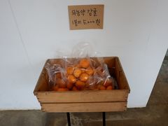 -柑橘农场