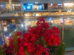 -首创奥特莱斯(北京店)