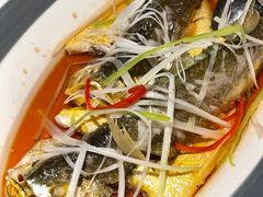 -前海沿·青岛菜(大拇指广场石老人店)