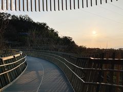 -福道