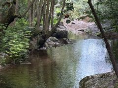 -牛背梁国家森林公园