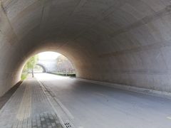 -尚贤河湿地