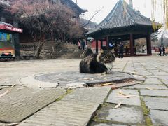 -晋祠公园