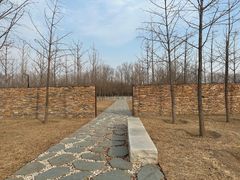 -马家湾湿地公园