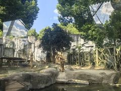 -常州淹城野生动物世界