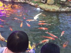 -鸿通城购物中心