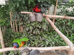 -南宫五洲植物乐园