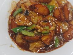 -邵年鸽(杨庄店)