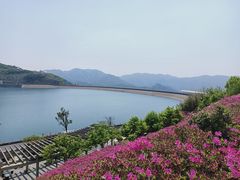 -江南天池