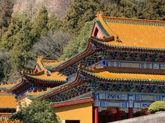 -天目山大树王景区