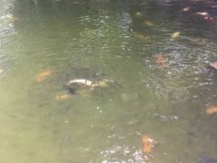 -珠海圆明新园