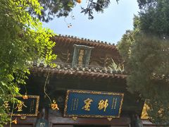 -洛阳白马寺