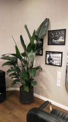 -巴黎拉斐派瑞美发沙龙