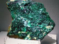 -湖南省地质博物馆