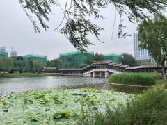 -西海子公园