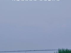 -七的湖·晚芳亭·阳澄湖农家菜·大闸蟹(莲花岛店)