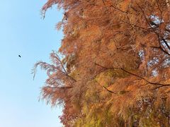 -滨湖塘西河公园