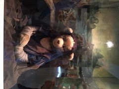 泰迪熊博物馆-济州岛泰迪熊博物馆