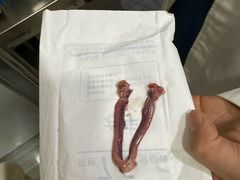 -瑞派名望志远动物医院·猫科·內科·异宠专科(直港大道店)