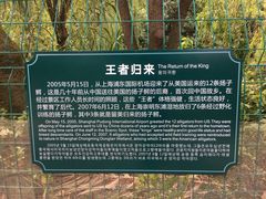 -中国扬子鳄村