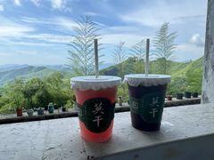 -莫干山风景区