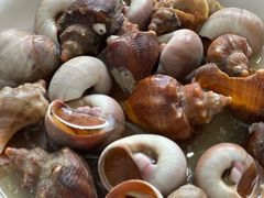 -大树下饭店(春晓镇慈岙社区卫生服务站南)