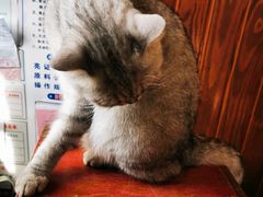 -不舍昼夜咖啡馆