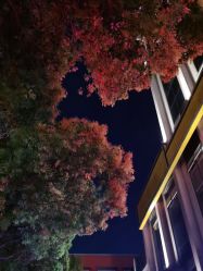 -女王传奇SPA·美容美体