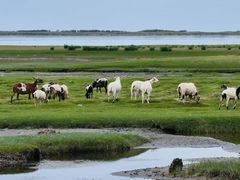 -青海湖国家重点风景名胜区